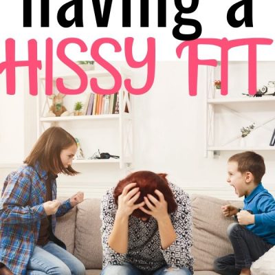 When You Feel Like Having a Hissy Fit, Do This Instead