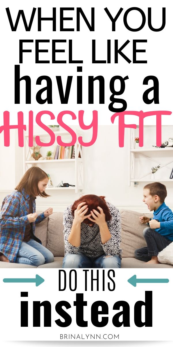When You Feel Like Having a Hissy Fit, Do This Instead BrinaLynn