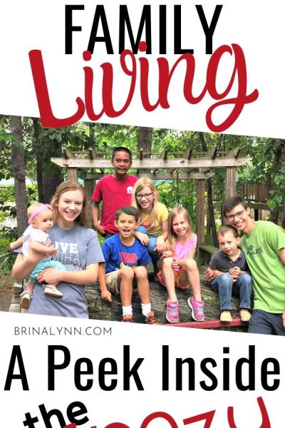 Large Family Living | A Peek Inside the Crazy