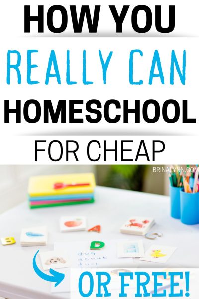 How you really can homeschool for cheap or even free!
